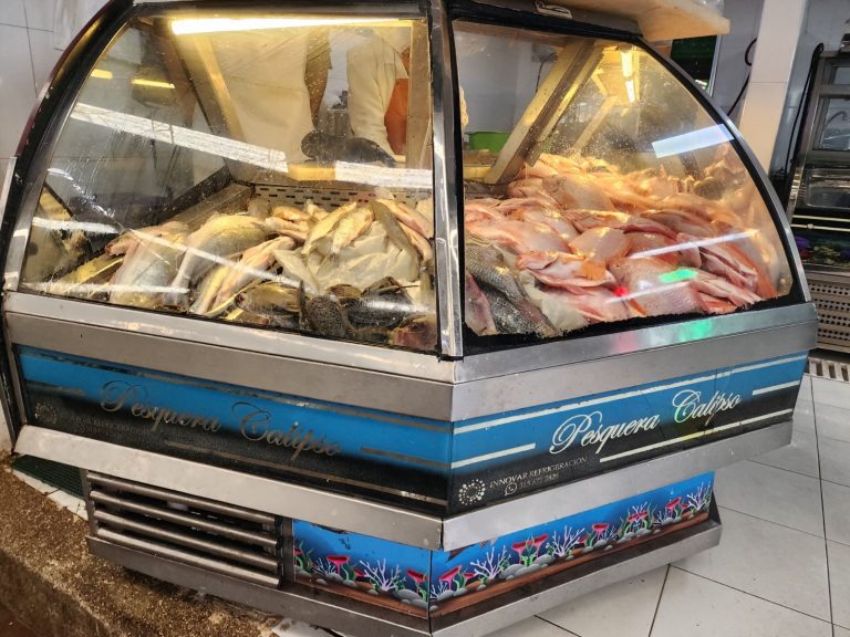 Cuando compre pescado asegúrese de seguir estás recomendaciones