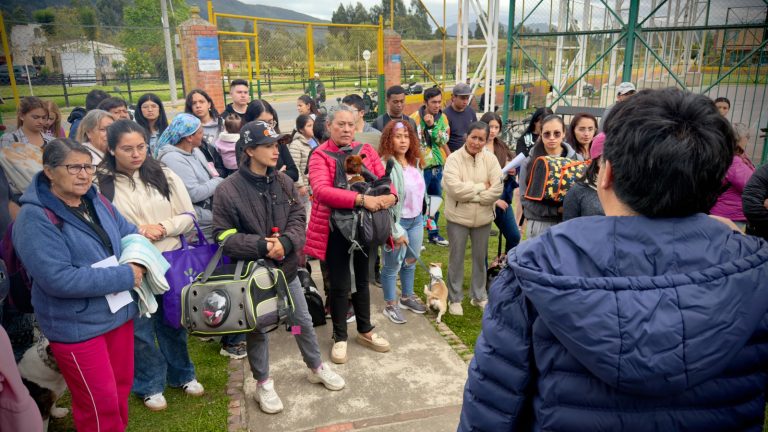 684 esterilizaciones gratuitas en lo corrido del 2026