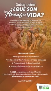 AREAS DE VIDAAREAS DE VIDA