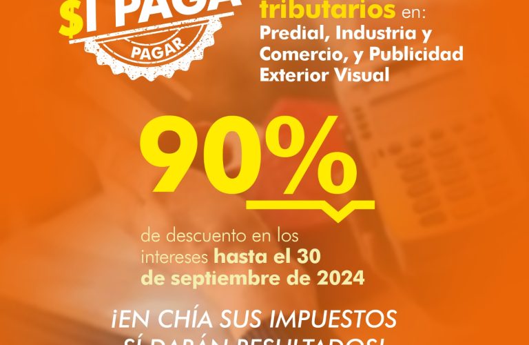 Alivios 90% Feed